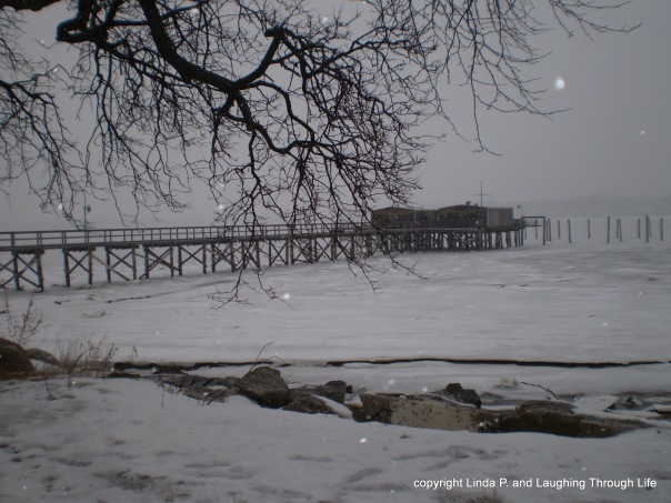 Bayside Marina at Little Neck Bay, 3-1-15 in the snow
