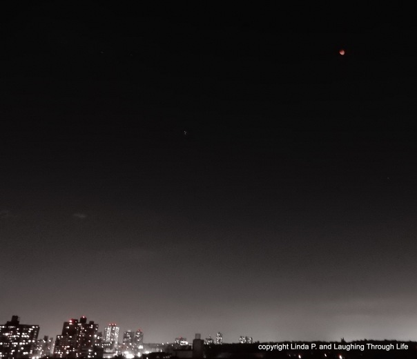 blood moon over the roof
