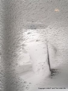 Snow from inside the lobby 1-4-18