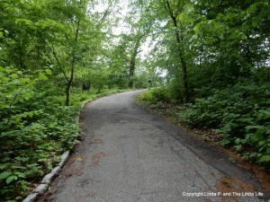 FOREST PARK, NYC Undulationg path to Laurence Strack Memorial Pond