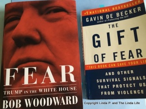 Covers of FEAR by Bob Woodward and THE GIFT OF FEAR by Gavin De Becker